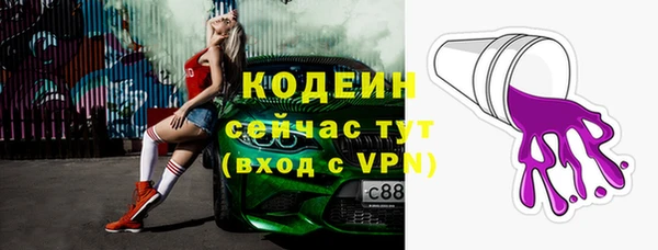 шишки Пестово