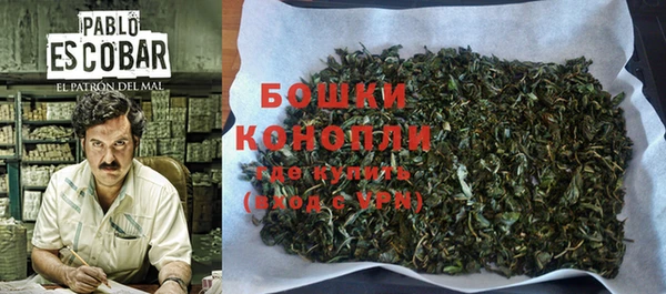 шишки Пестово
