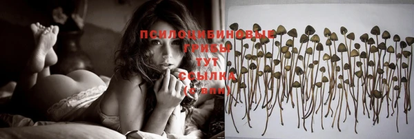 прущая мука Пересвет