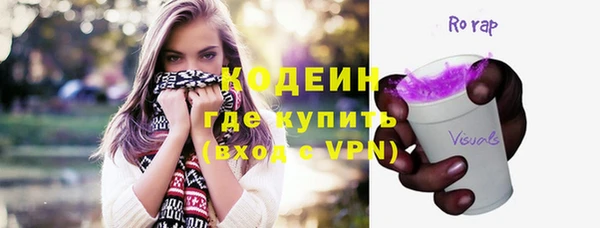шишки Пестово