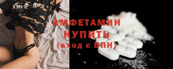 шишки Пестово