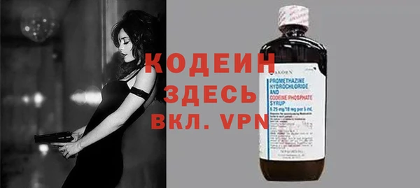 шишки Пестово
