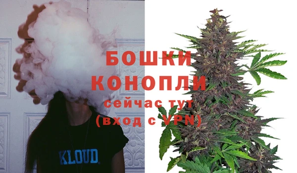 прущая мука Пересвет