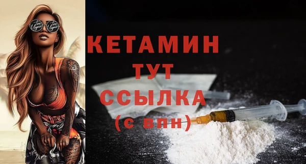 шишки Пестово