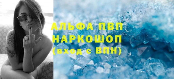 шишки Пестово