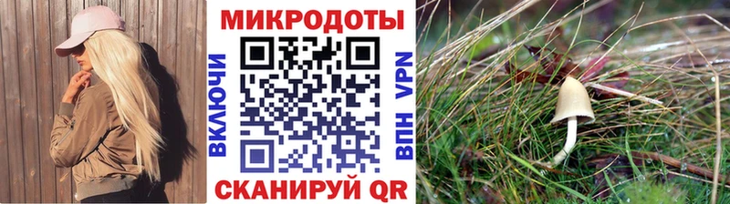 Галлюциногенные грибы Psilocybine cubensis как найти наркотики Сертолово